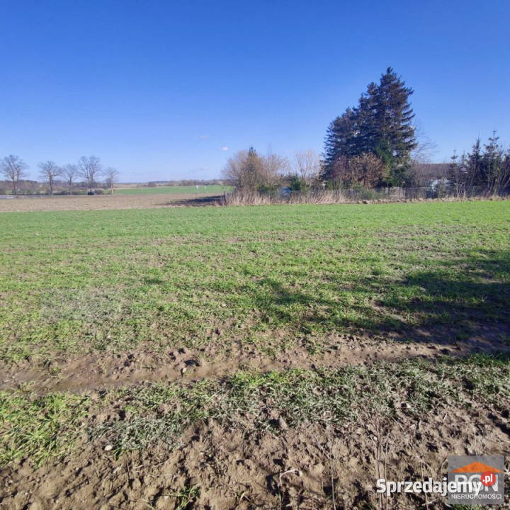 Działka 4752m2 Strzeżewko sprzedam