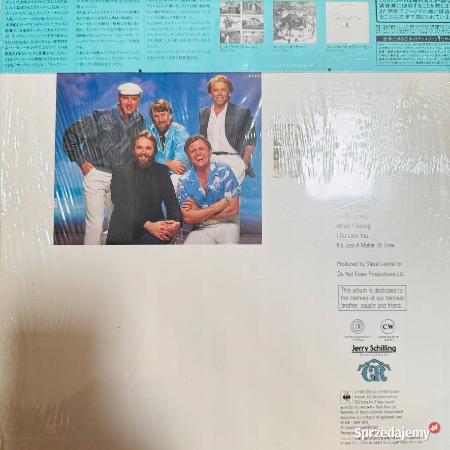 The Beach Boys The Beach Boys LP CRB26378 VG The rock Szczecin