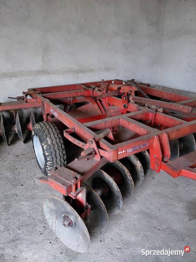 Talerzówka souchu pinet Mońki