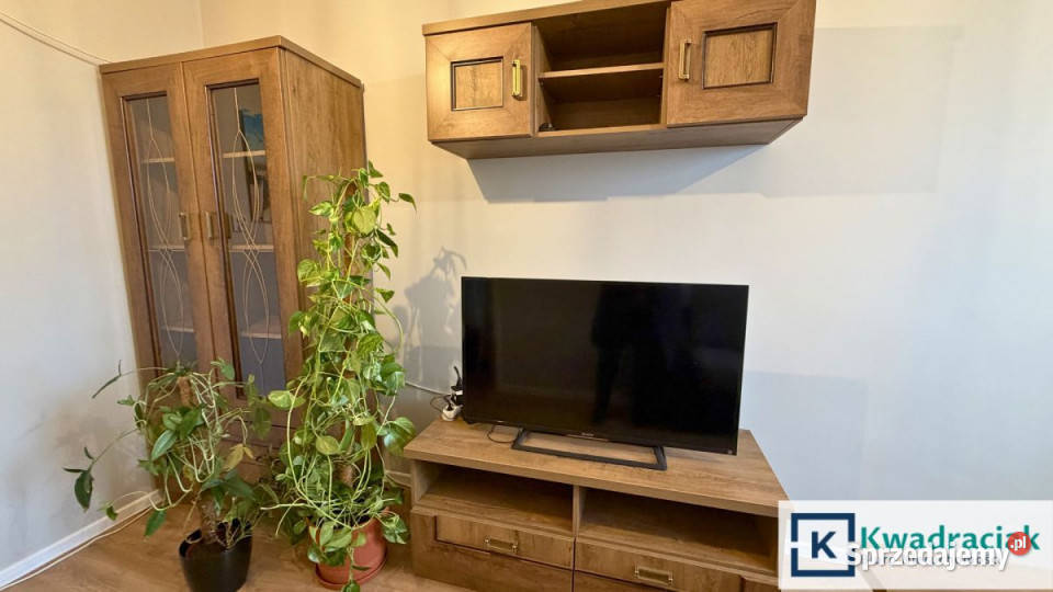 wynajmu mieszkania 3556m2 2 pokoje Krosno podkarpackie