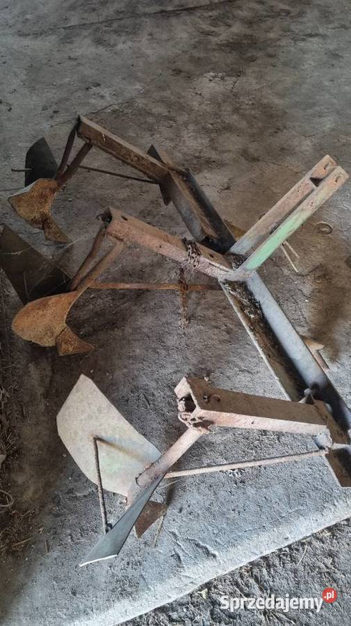 Płużk Łuszczów-Kolonia