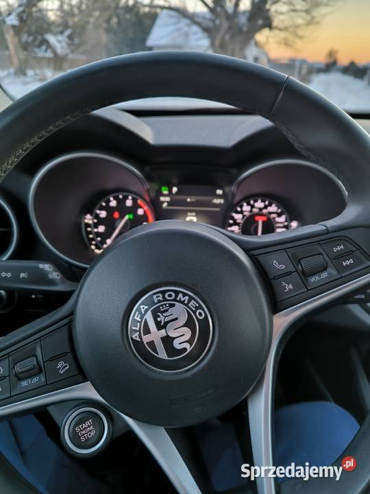 Stelvio 280 Q4 2019 Bogata stan Dziekanów Polski