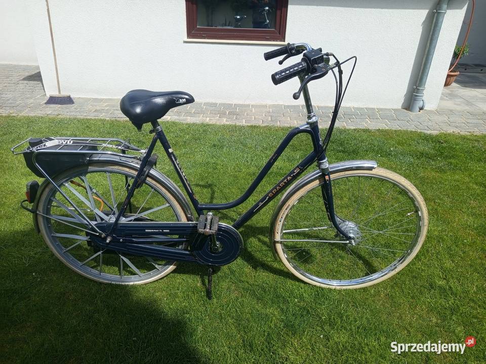 Rower spalinowy z silnikiem sachs Sparta