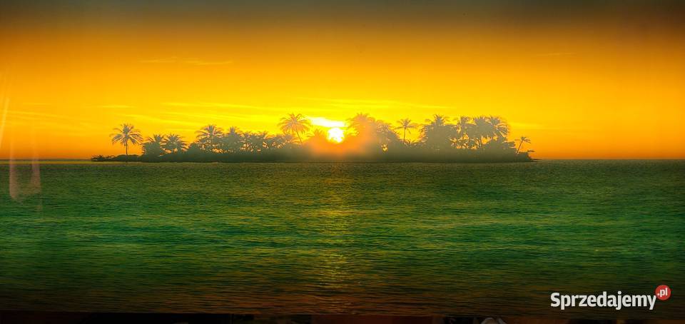 Obraz retro z dźwiękiem świecący 8widoków palmy Legionowo