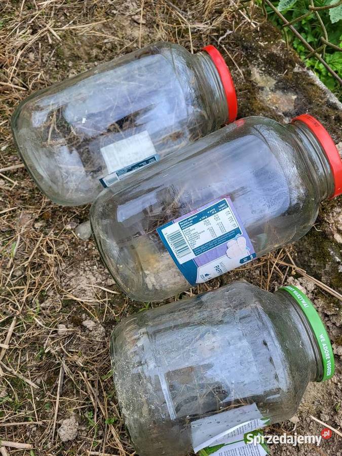 Duże słoiki Kraków