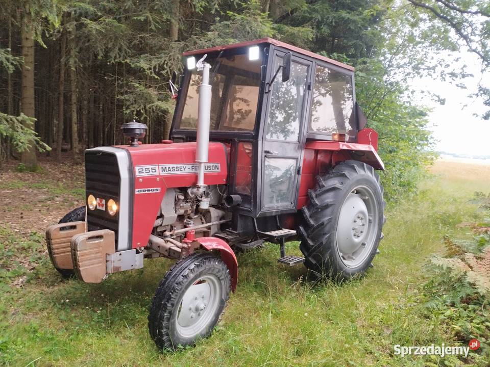 Sprzedam MF 255 Janów Lubelski