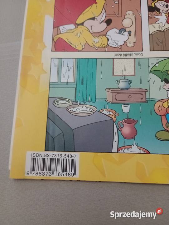 Vademecum Magic English Disney śląskie Katowice sprzedam