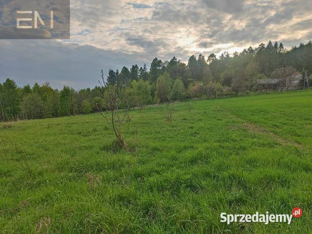 Działka Hadle Kańczuckie 33000m2 podkarpackie sprzedam