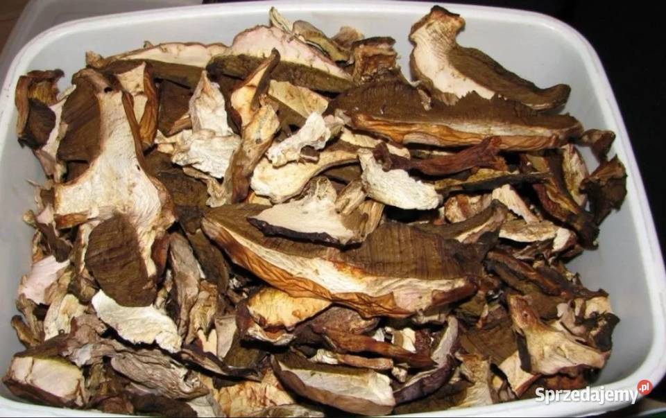 Grzyby suszone prawdziwki 25zl śląskie Janow k śląskie Janów sprzedam