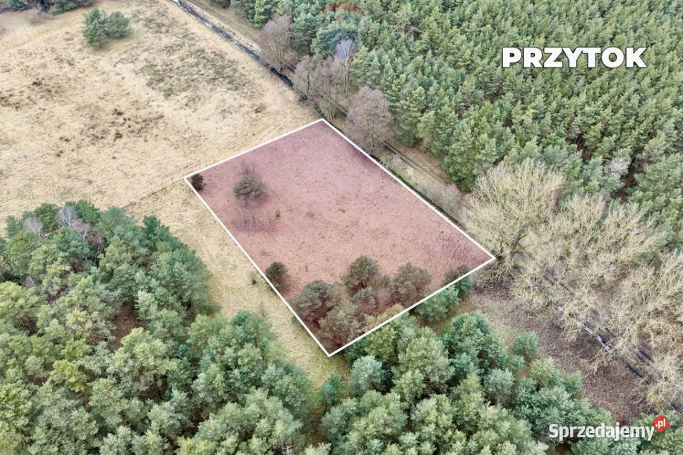 Na sprzedaż działka rolna o pow 4000 m Przytok