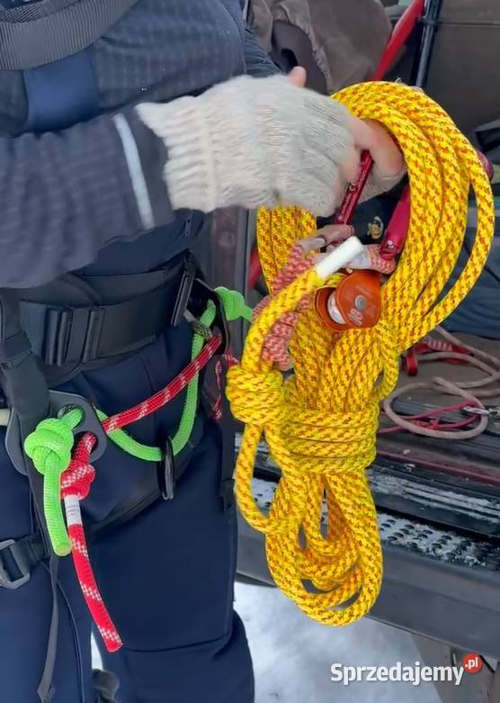 Przycinanie drzew pielęgnacja drzew wycinka