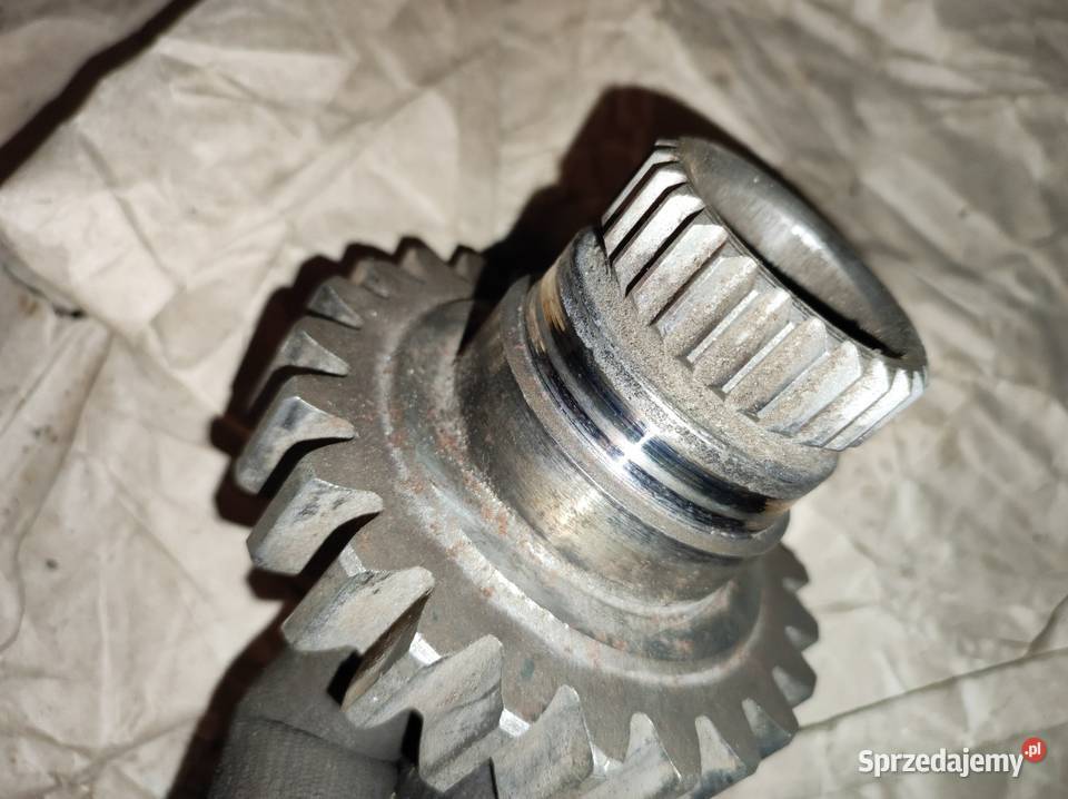 Zabierak napędowy Dniepr 1216 wielkopolskie Leszno