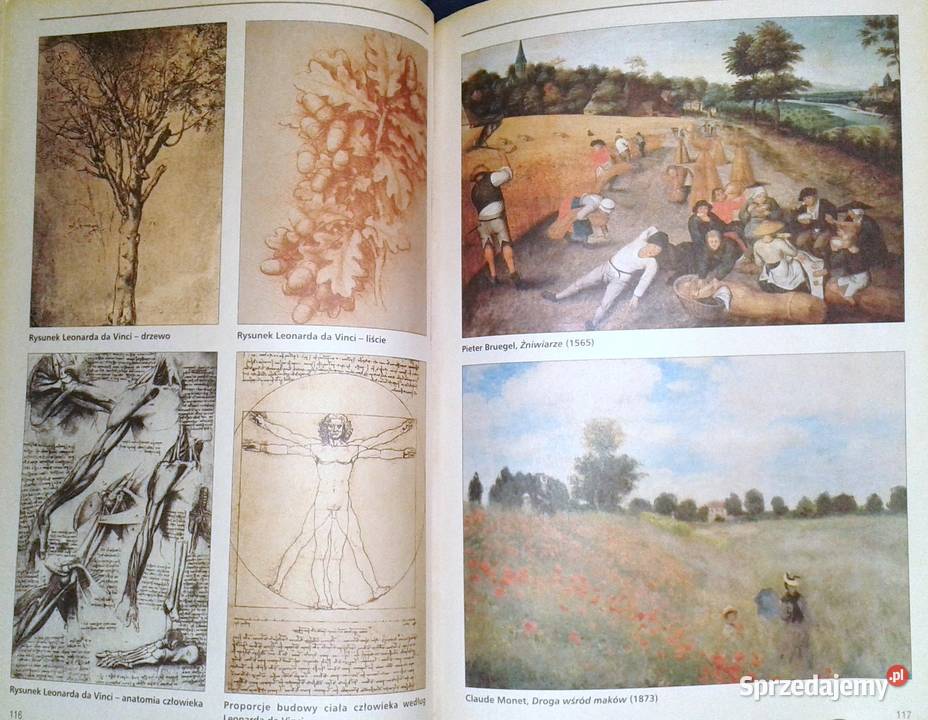 Wiedza o kulturze Liceum i technikum Materiały Kultura i Rozrywka Chełm