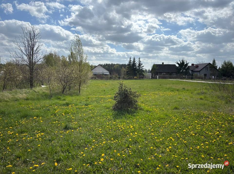 Dom i budynek usługowy 200 m2 działka 4 335 m blacha Osipy-Wydziory Pierwsze sprzedam