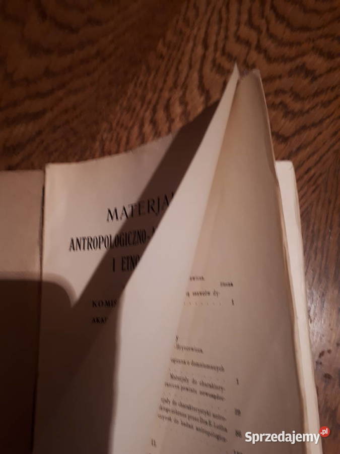 Materjały antropologiczno archeologiczne i Antyki, Sztuka, Kolekcje Golczowice