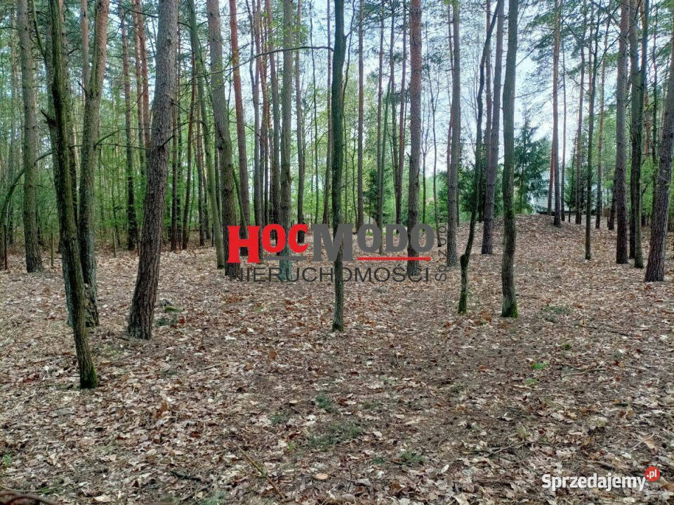 Działka budowlana wśród lasów w Karolinie Sprzedaż mazowieckie Karolino