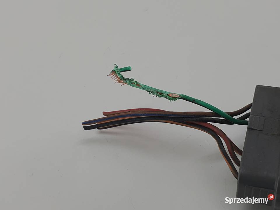 WTYCZKA KOSTKA TPS DUCATI DIAVEL Janowice