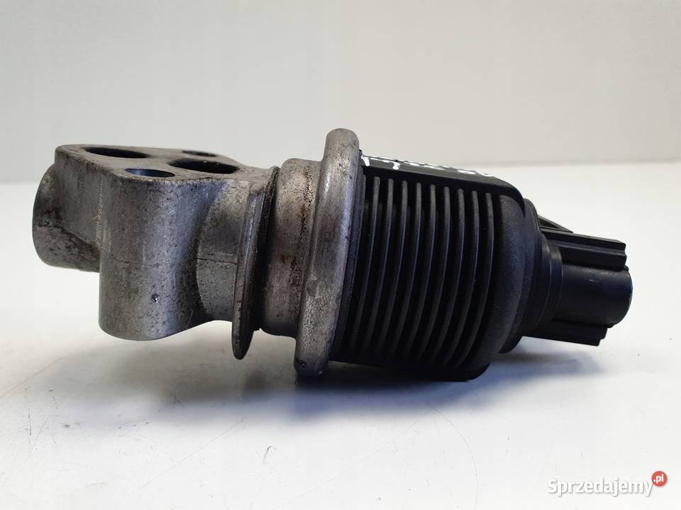 Skoda Octavia II 16 8V ZAWÓR EGR 06A131501J osobowe Chełm