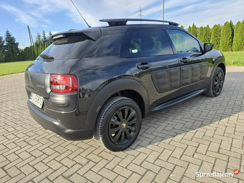 Citroen C4 Cactus 12Turbo Benz NaviKamera garażowany Kutno