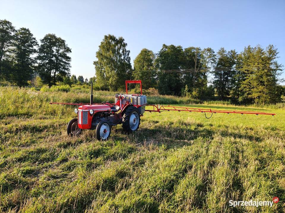 Ferguson tea20 z 1956r Gniewce sprzedam