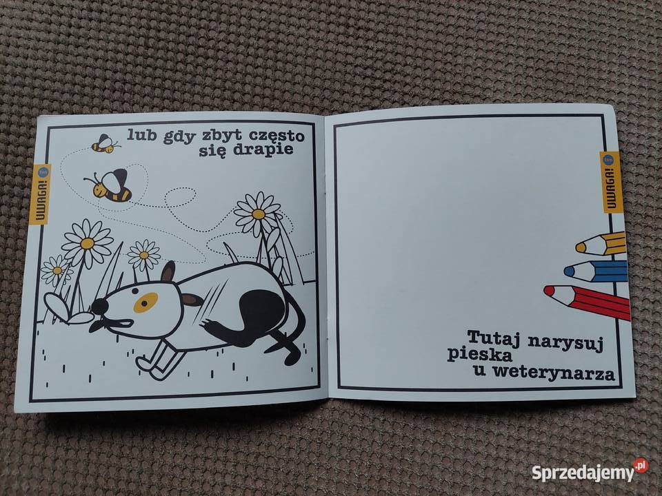 Piesek u lekarza Uta Dorczyk