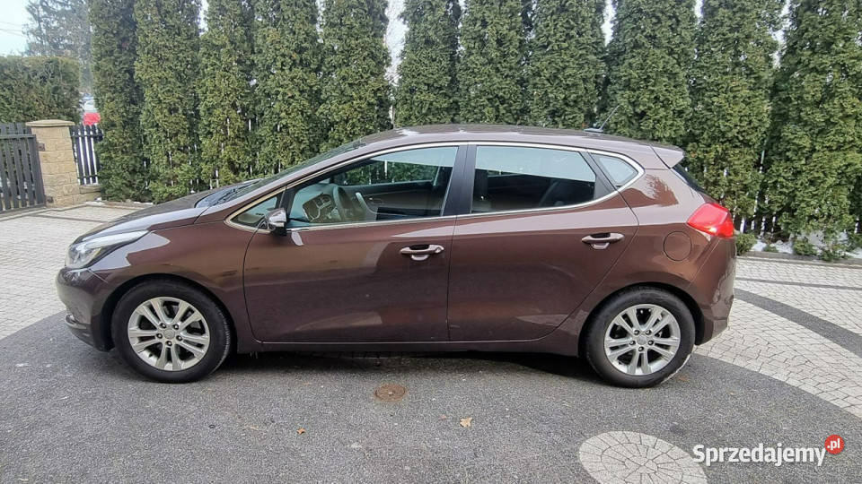 Kia Ceed Navi Kamera Alu LED 16 128 GWARANCJA Płońsk