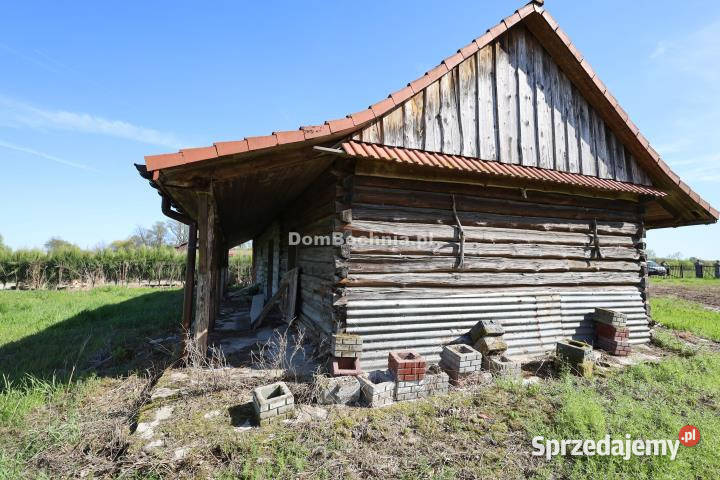 Grunt 13200m2 Dębina