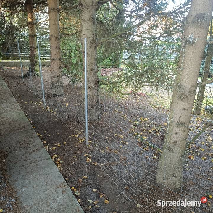 Najtańsze ogrodzenie z siatki leśnej 480 mb Baranów Sandomierski