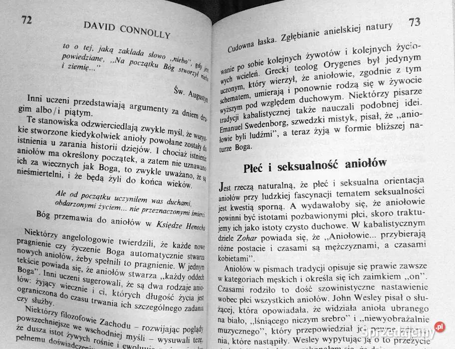 W poszukiwaniu aniołów David Connolly Chełm