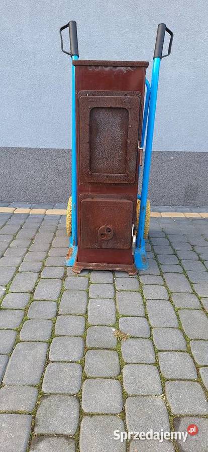 Pieckominek szamotowykoza Przysucha