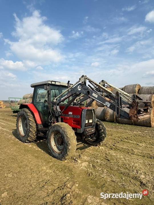 Massey Ferguson 6130 85 TUR Działyń