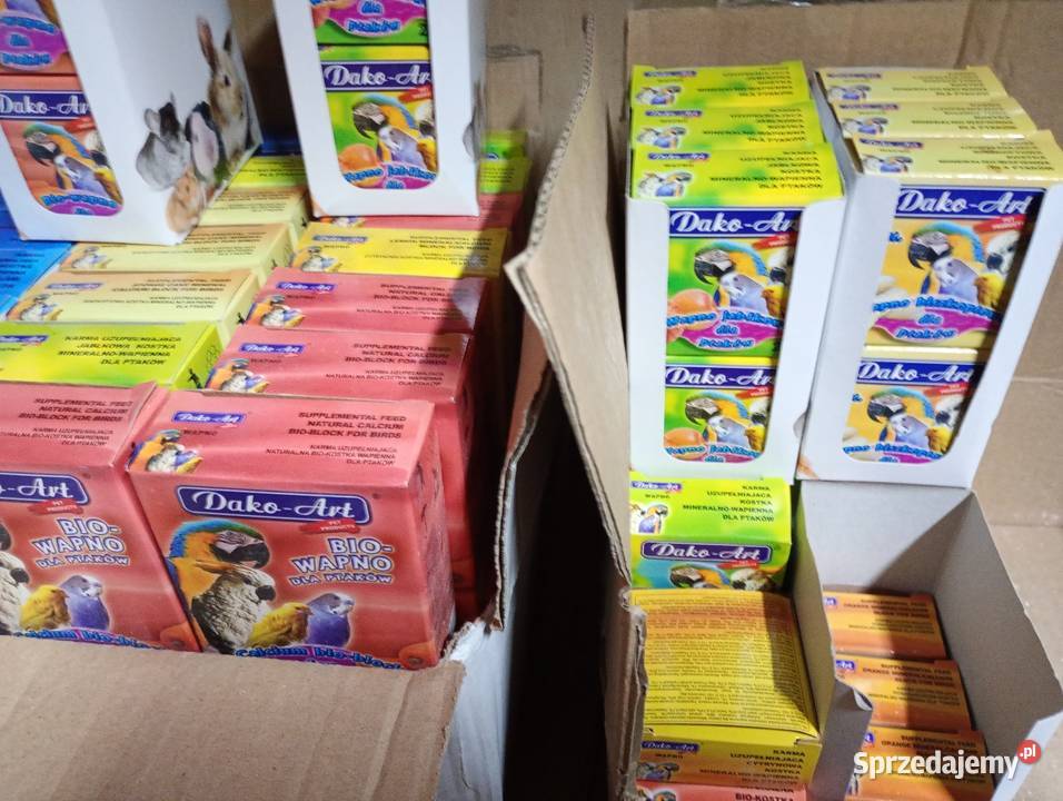 Wapienko papug Ptaki Kamień Górowski