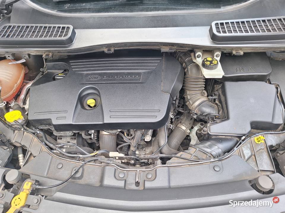 Ford Kuga 2017r 20 diesel 150 z Niemiec Biłgoraj