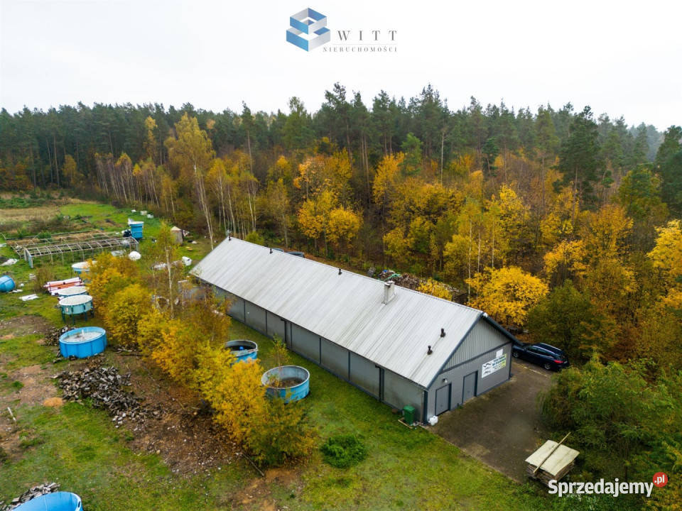 Lokal 342 metry Łukta przemysłowy