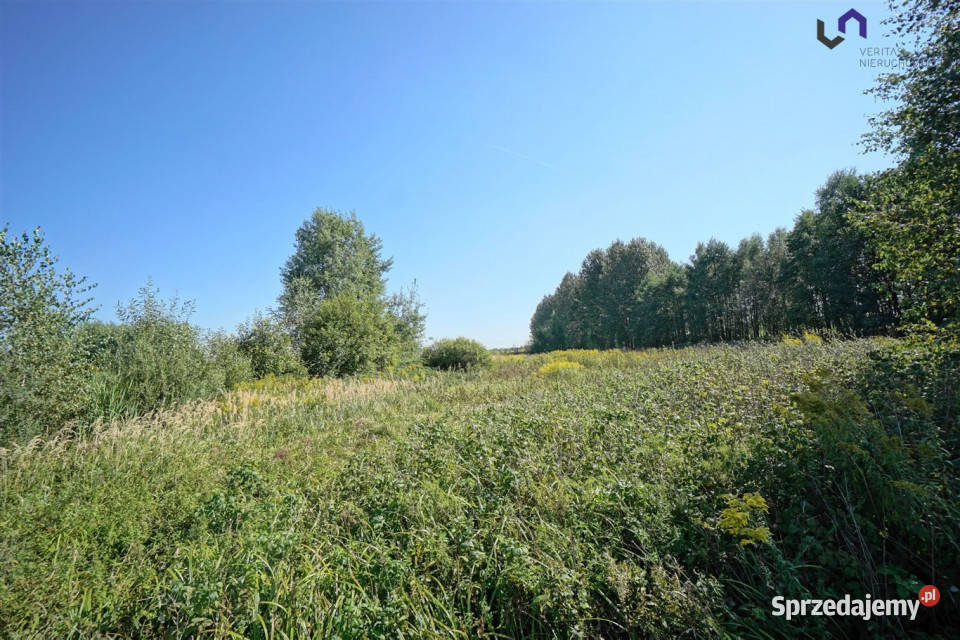 Grunt 4731m2 Dąbrowa Górnicza śląskie