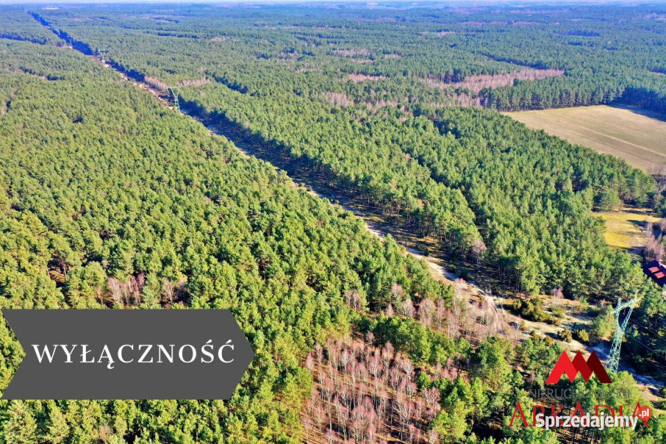 sprzedaży działki 12600m2 Bobrownickie Pole