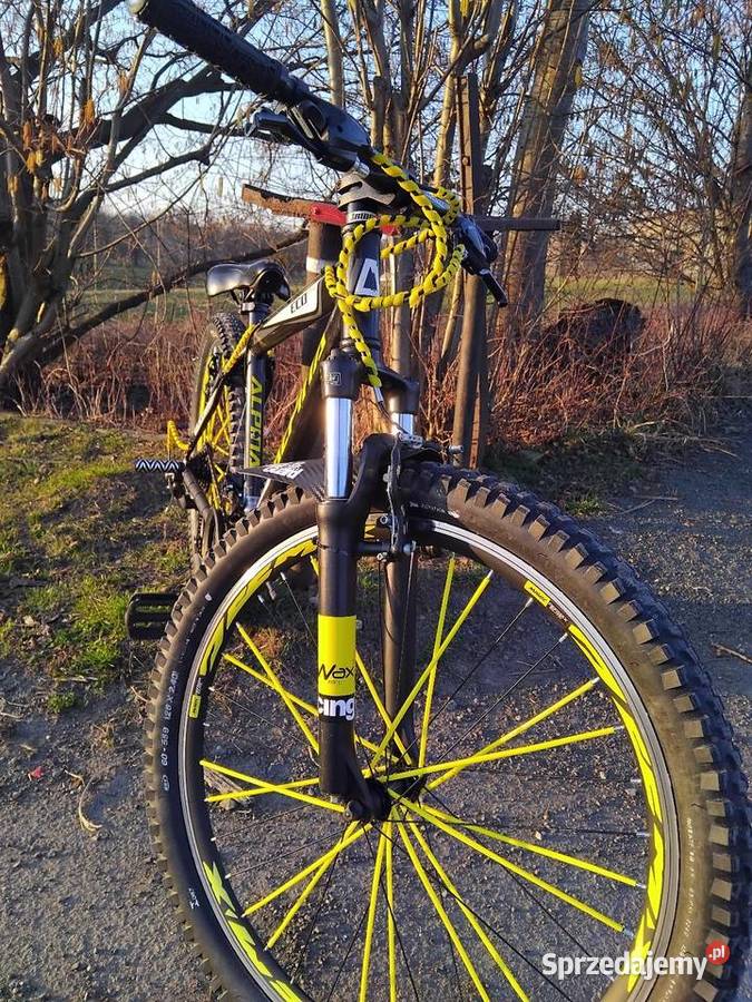 Rower mtb alpina Kozakowice Górne