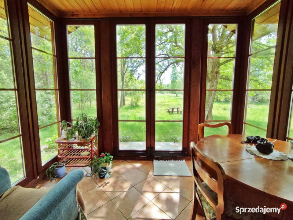 Drewniany dom w małej wiosce w lesie 35 centrum Dębe Wielkie sprzedam