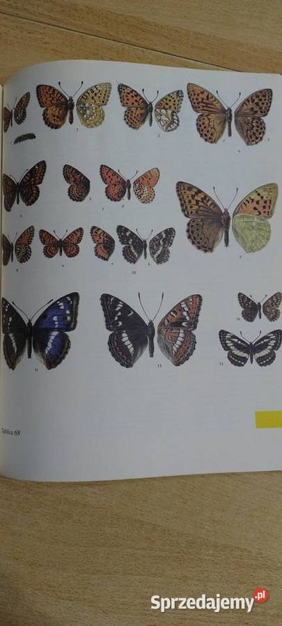 Świat zwierząt Wydanie 3 Lublin