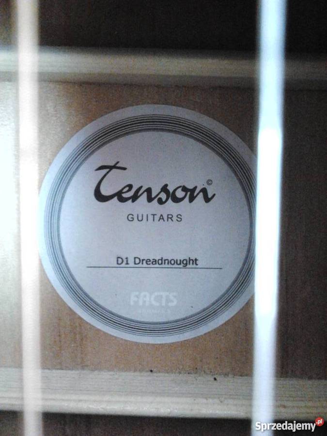 Gitara akustyczna Tenson D1 Gitary i akcesoria śląskie sprzedam