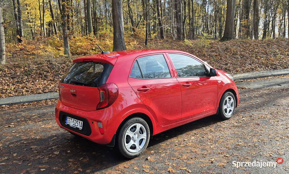 Kia Picanto 12 M nieuszkodzony Smętowo Graniczne