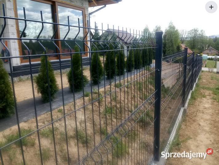 Panel ogrodzeniowy 123x250 fi4mm Gorlice