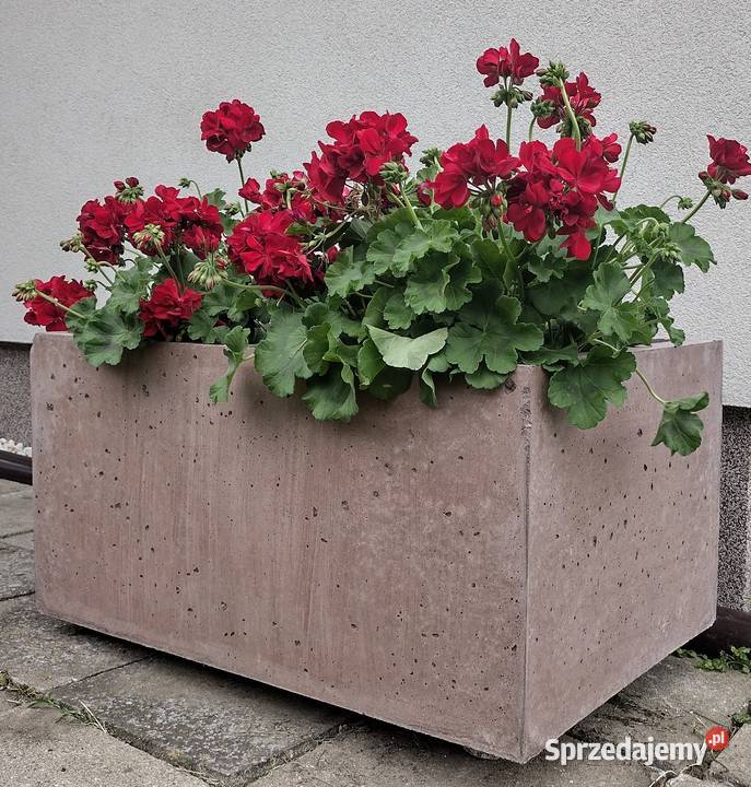 Donica z betonu architektonicznego Szadów Księży sprzedam