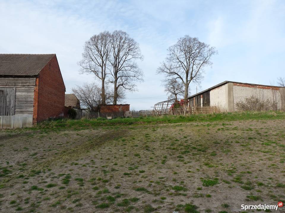 anio Gospodarstwo rolne Paprotki gm Malechowo Paprotki