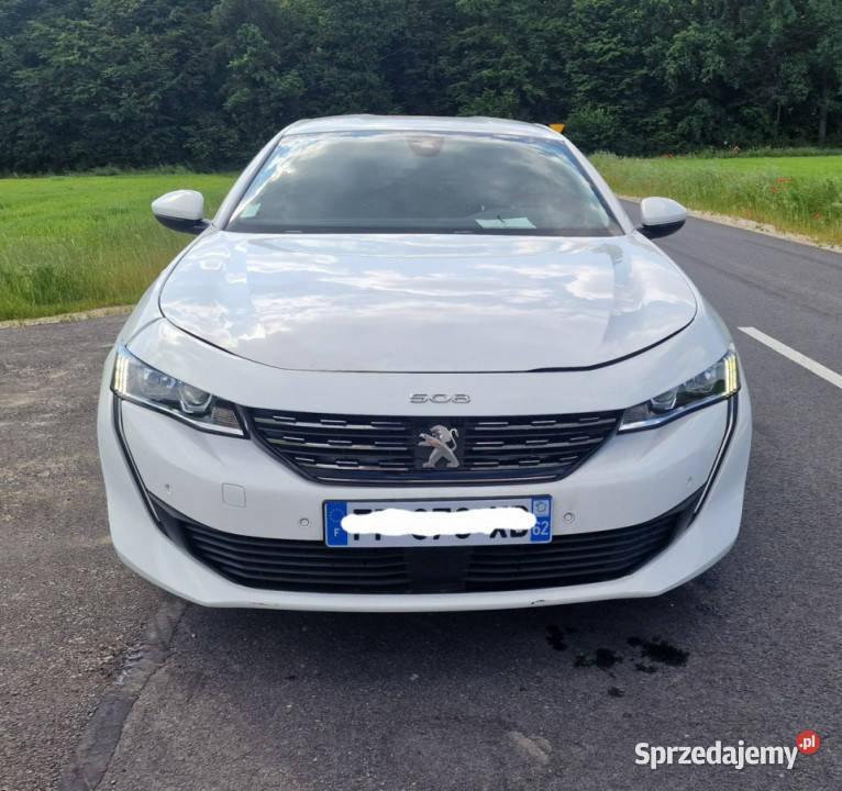 Peugeot 508 Peugeot 508 diesel Pleszew