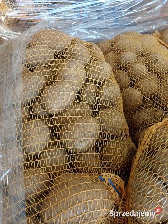 Ziemniakisadzeniaki Mariola i Marabell sprzedam