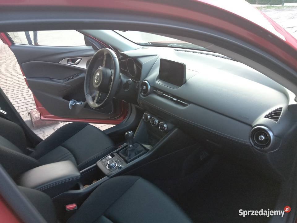 Sprzedam wielkopolskie