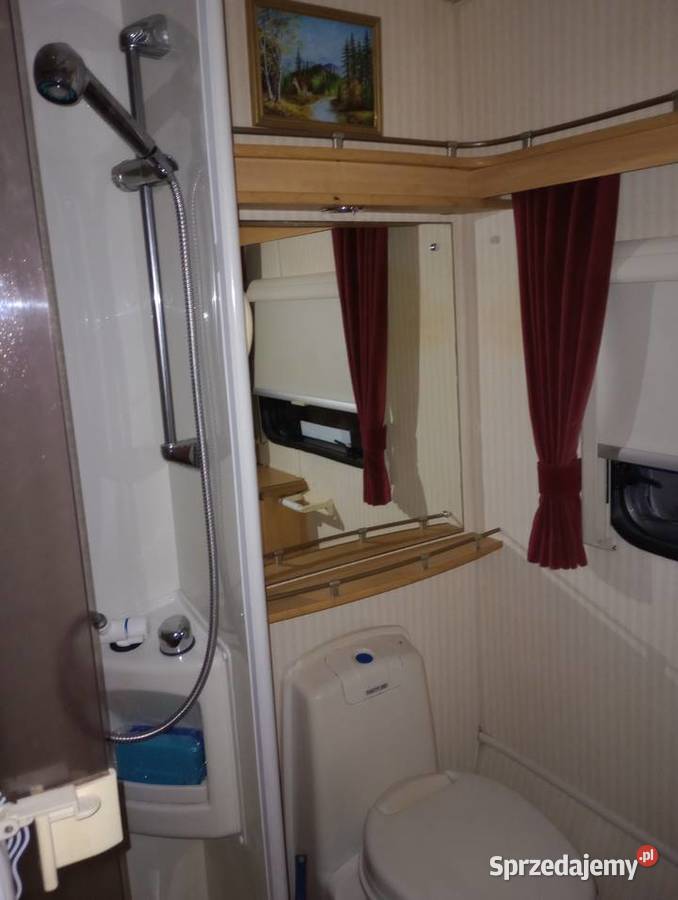 Ładna Przyczepa Angielska Sterling Topaz Kofort Radlin