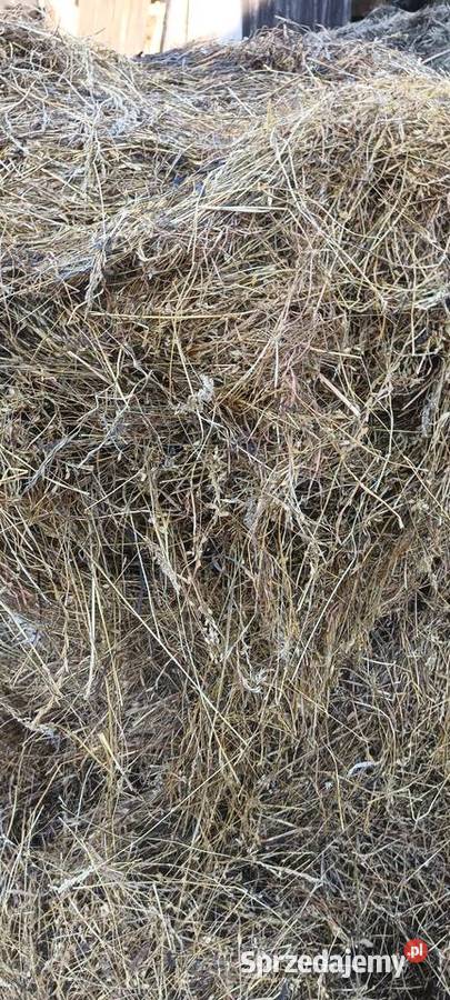 Sprzedam Sianokiszonkę Goworowo