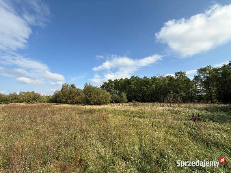 Piękna działka z warunkami zabudowy idealna pod Szczawin Kościelny